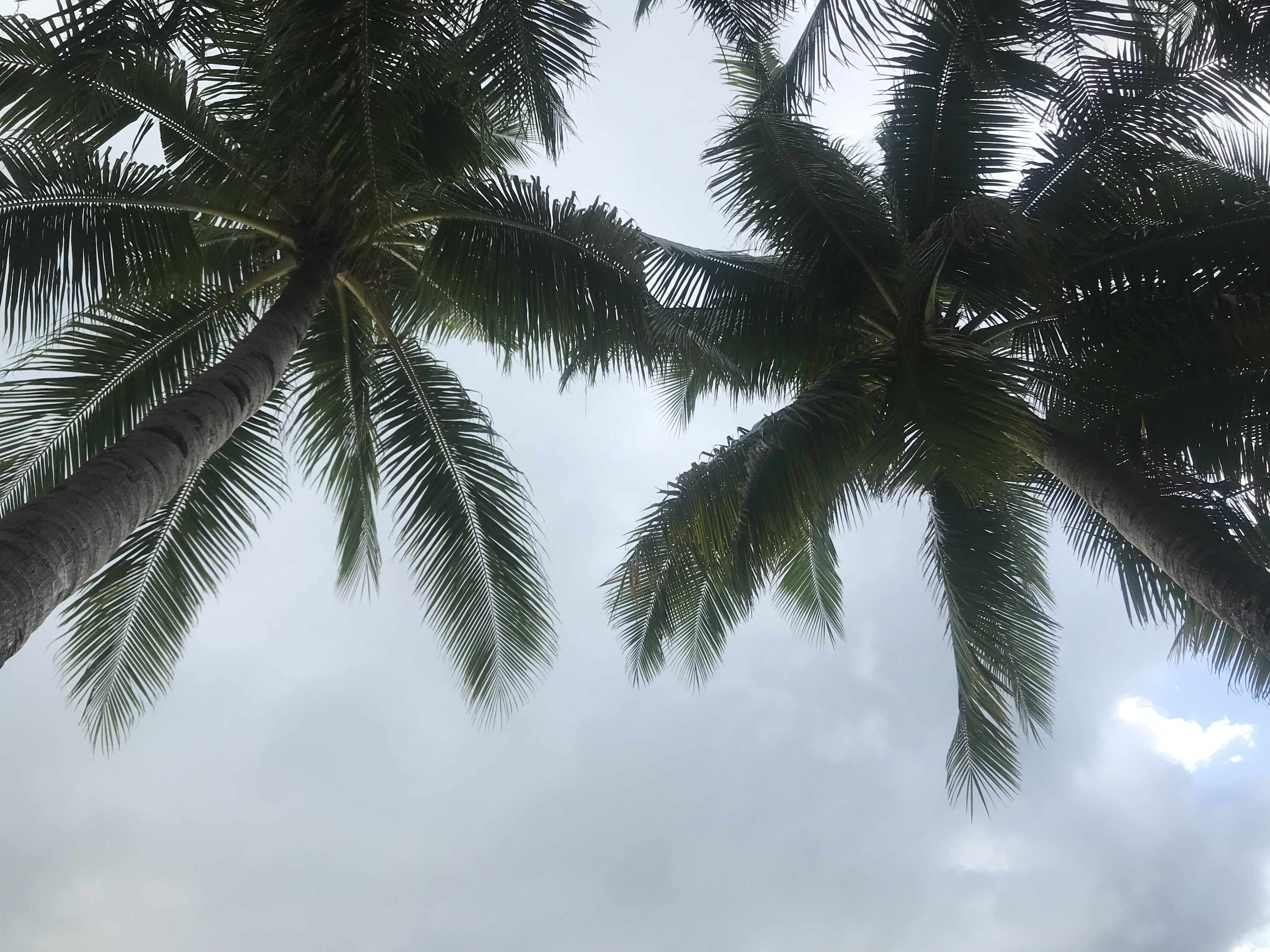 长沙婚姻调查取证